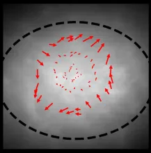 An example of a non-turbulent velocity field measured using the new technique.
