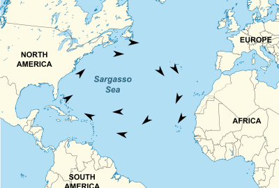 Sargasso Sea map