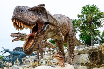 Dinosaur stock photo