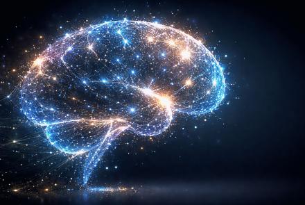 stock image of brain