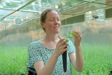 Woman holding up a plant in a greenhouse