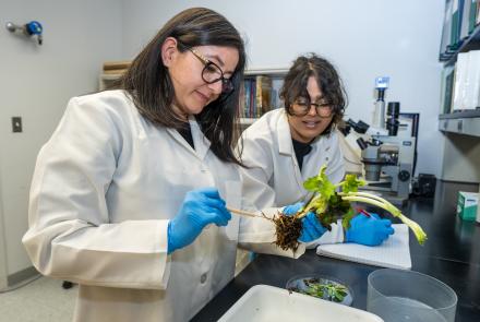 plant diagnostics hospital