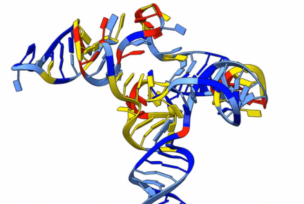Graphic representation of RNA made up of different colored strands woven together.