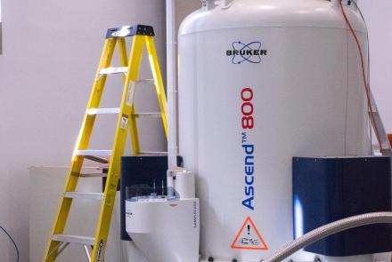 Large white Bruker Ascend 800 NMR magnet in a lab, with connected tubing and instruments; a yellow step ladder stands beside it.