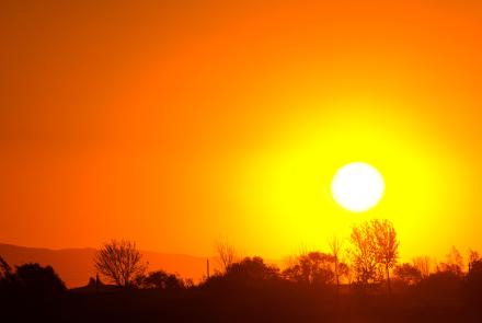 A bright sun casts a vivid orange sky above a landscape of trees.
