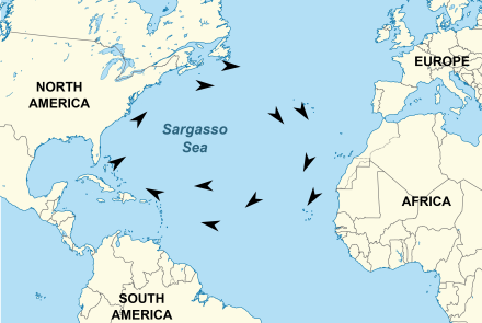 Sargasso Sea map