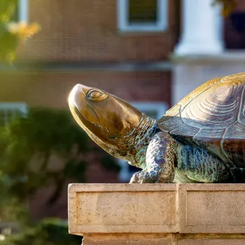 Testudo Statue