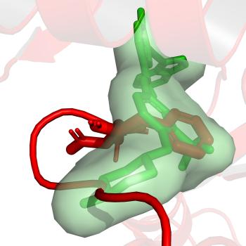 A structural model demonstrating the AF2RAVE method