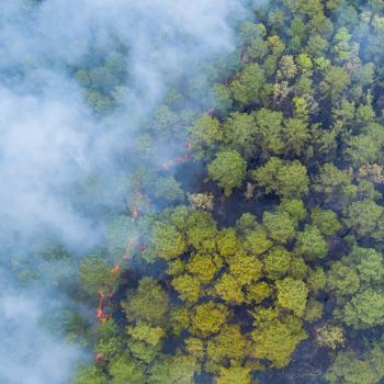 Forests viewed from above, obscured by wildfire smoke.