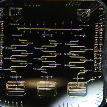 Image showing how devices are made from trapped ions or superconducting circuits