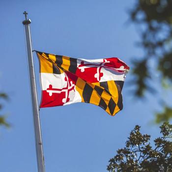 Maryland flag