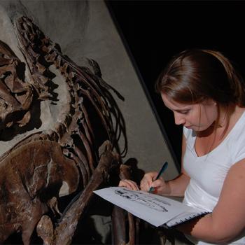 Author Laura Surring examines a tyrannosaur's fossilized bones