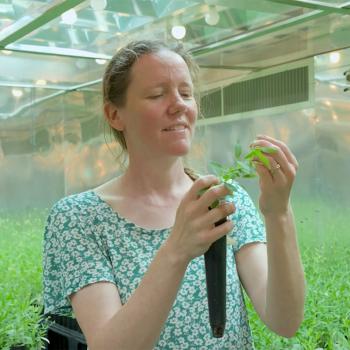 Woman holding up a plant in a greenhouse