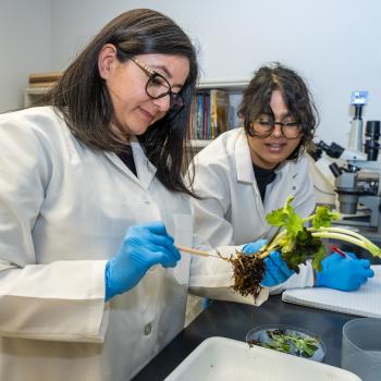 plant diagnostics hospital