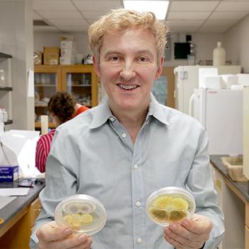 Ray St. Leger with petri dishes