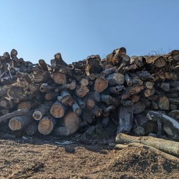 Wood debris piled up