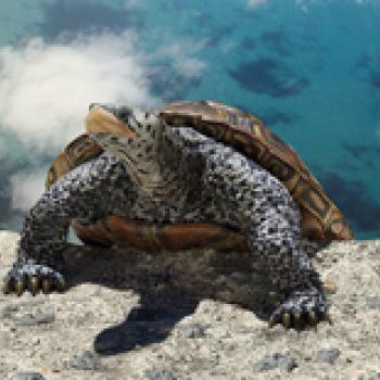 3D illustration of a terrapin hauling itself up onto the top of a cliff overlooking tropical waters