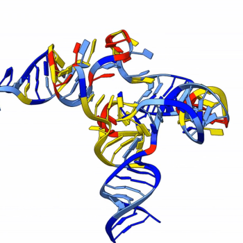 Graphic representation of RNA made up of different colored strands woven together.