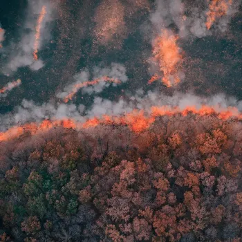 wildfire near land