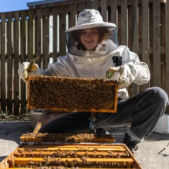 Lila Wilson holds up a frame from a hive, which can hold about 2,000 bees.