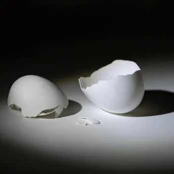 Eggs