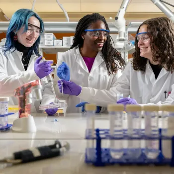 Students in a lab working together