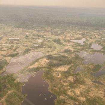 Permafrost thaw bogs in the Northwest Territories, Canada.