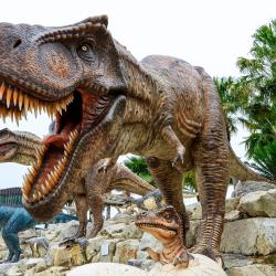 Dinosaur stock photo