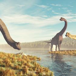 Brachiosaurs stock photo