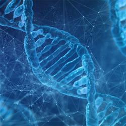 UMD Researchers Study the Intricate Processes Underpinning Gene ... Biology Diagrams