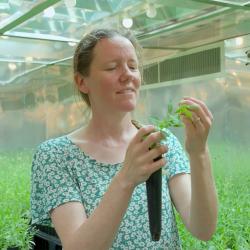 Woman holding up a plant in a greenhouse