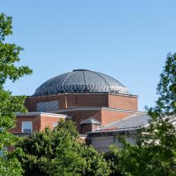 Dome of a building with red brick, surrounded by green trees, with blue sky above