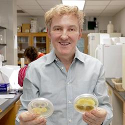 Ray St. Leger with petri dishes