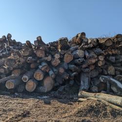Wood debris piled up