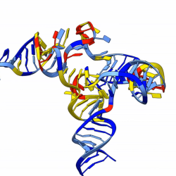Graphic representation of RNA made up of different colored strands woven together.