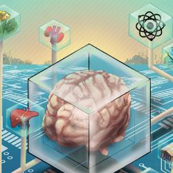 An illustration of elements of this article, such as a circuit board patter, a brain, molecules, a credit card, organs, etc.