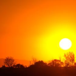 A bright sun casts a vivid orange sky above a landscape of trees.