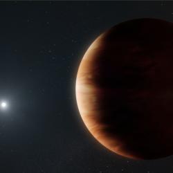white dwarf system