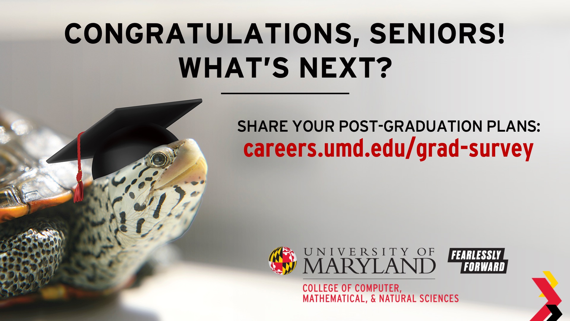 Career survey graphic